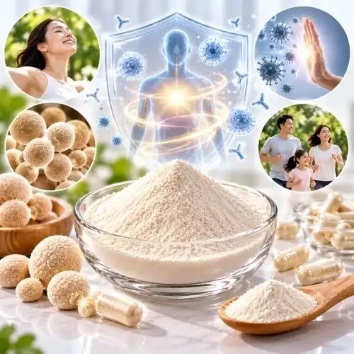 Is Yeast Beta-glucan Safe for Long-Term Immune Support and Wellness?